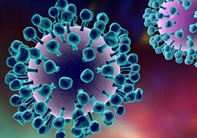 蛋白提取分離過程中的細胞破碎的詳細步驟