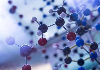 盤點納米抗體的幾種結構形式及其應用領域