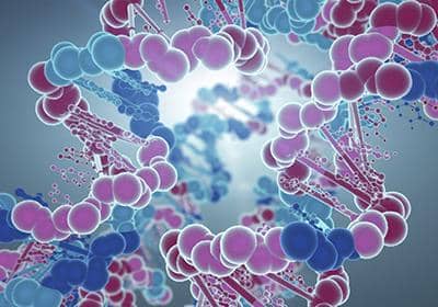 全人源單克隆抗體開發的流程是什么樣的?