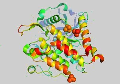 盤點幾種常用的蛋白表達方式的優缺點