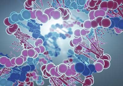 關于納米抗體的制備過程及其優勢