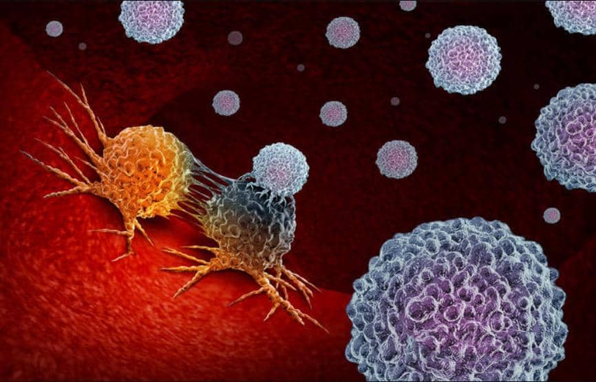 Nature綜述：從腫瘤基質暢談抗癌靶向新療法