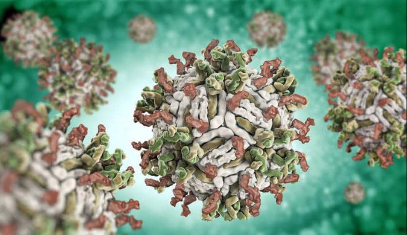 特色產品集錦|6大板塊，樣樣經典