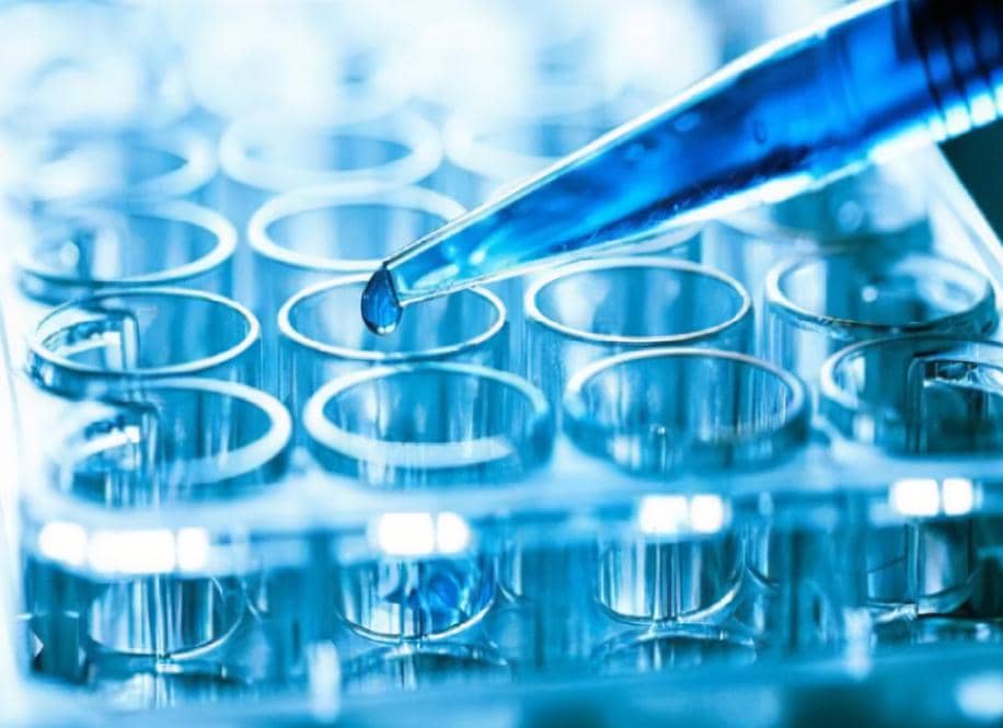 三維細胞培養(yǎng)技術突破之卵巢癌原代細胞