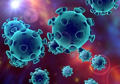 為什么說(shuō)抗體藥物研發(fā)成功的關(guān)鍵是雜交瘤細(xì)胞?