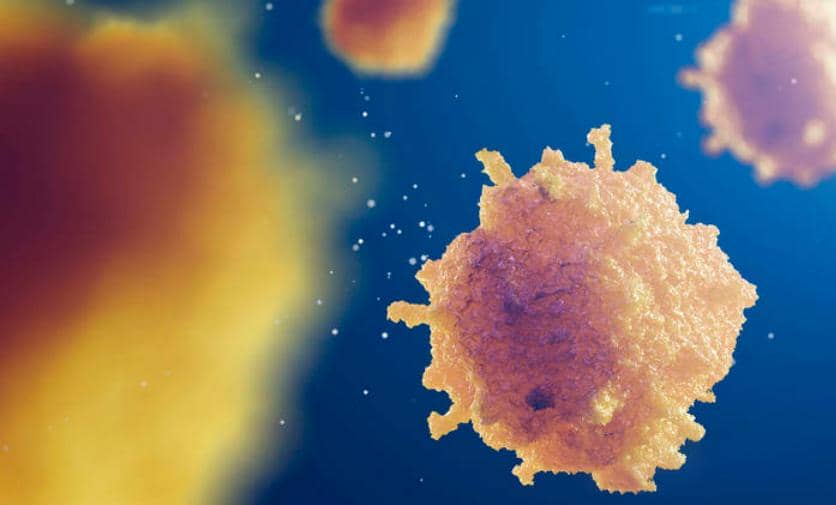 【高分文獻(xiàn)解讀第一期】CD24說(shuō)：&ldquo;Don't eat me！&rdquo; 腫瘤免疫治療該怎么辦？