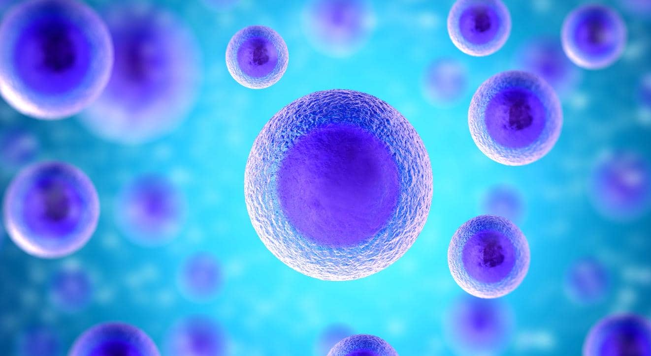 【第二期】流式小課堂&mdash;&mdash;流式對(duì)照選擇