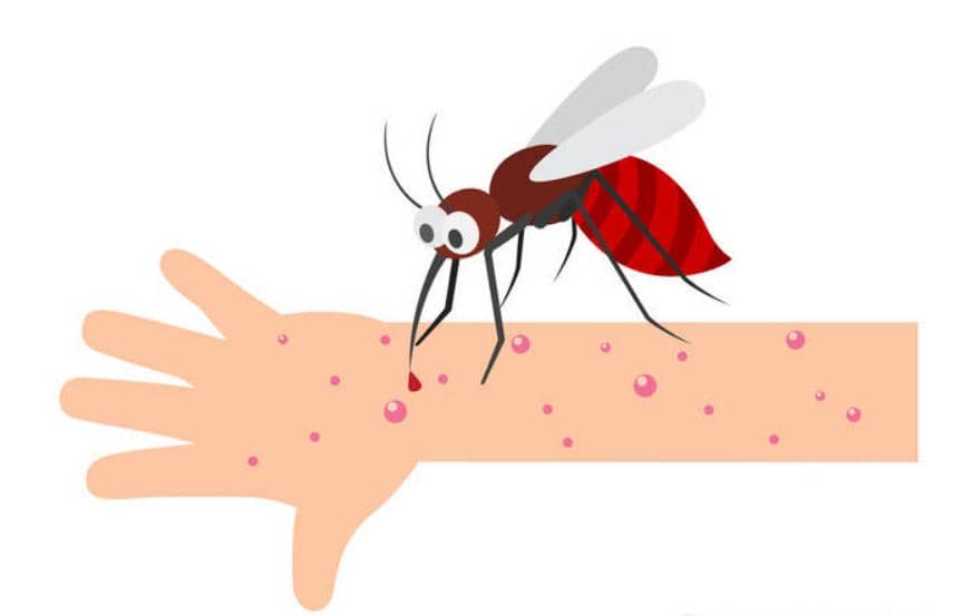 被蚊子發(fā)&ldquo;紅包&rdquo;，你癢就對了！