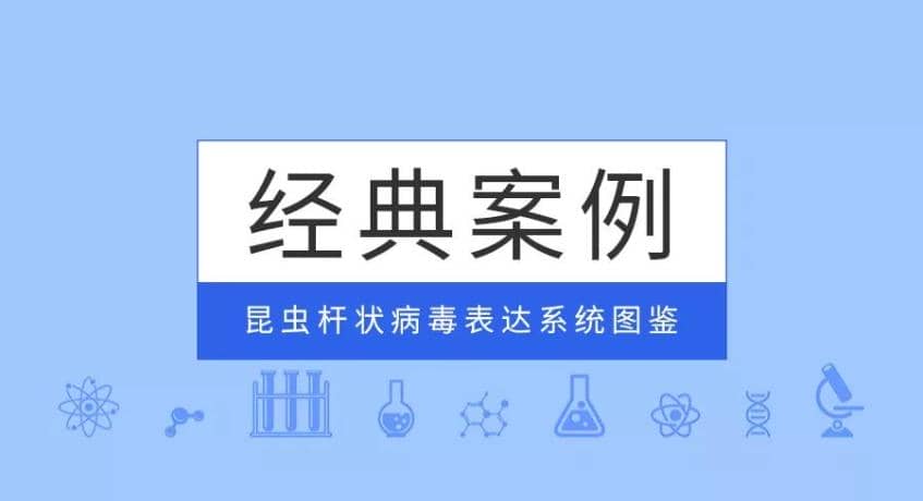 經(jīng)典案例|普健生物昆蟲桿狀病毒表達(dá)系統(tǒng)