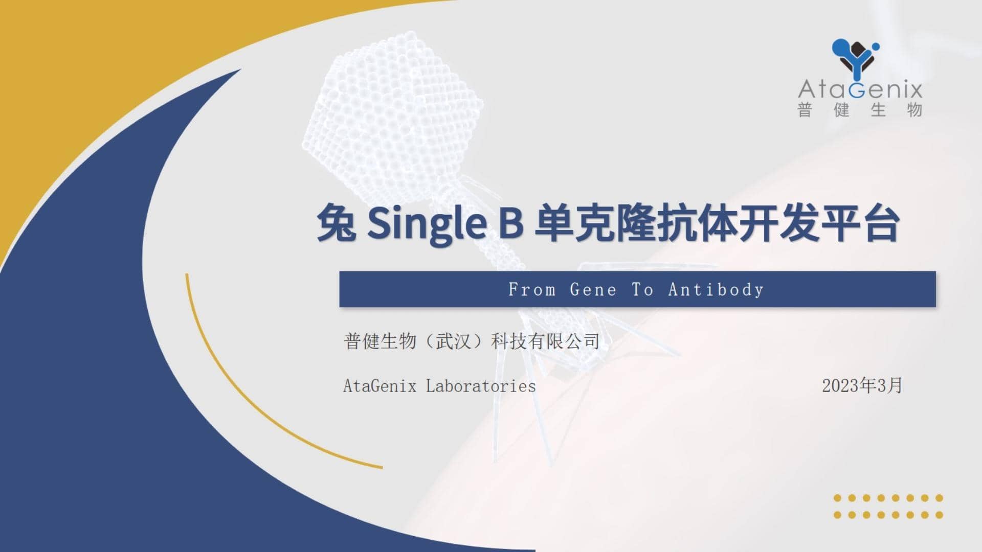 兔穎而出&mdash;&mdash;Single B兔單克隆抗體開發技術分享