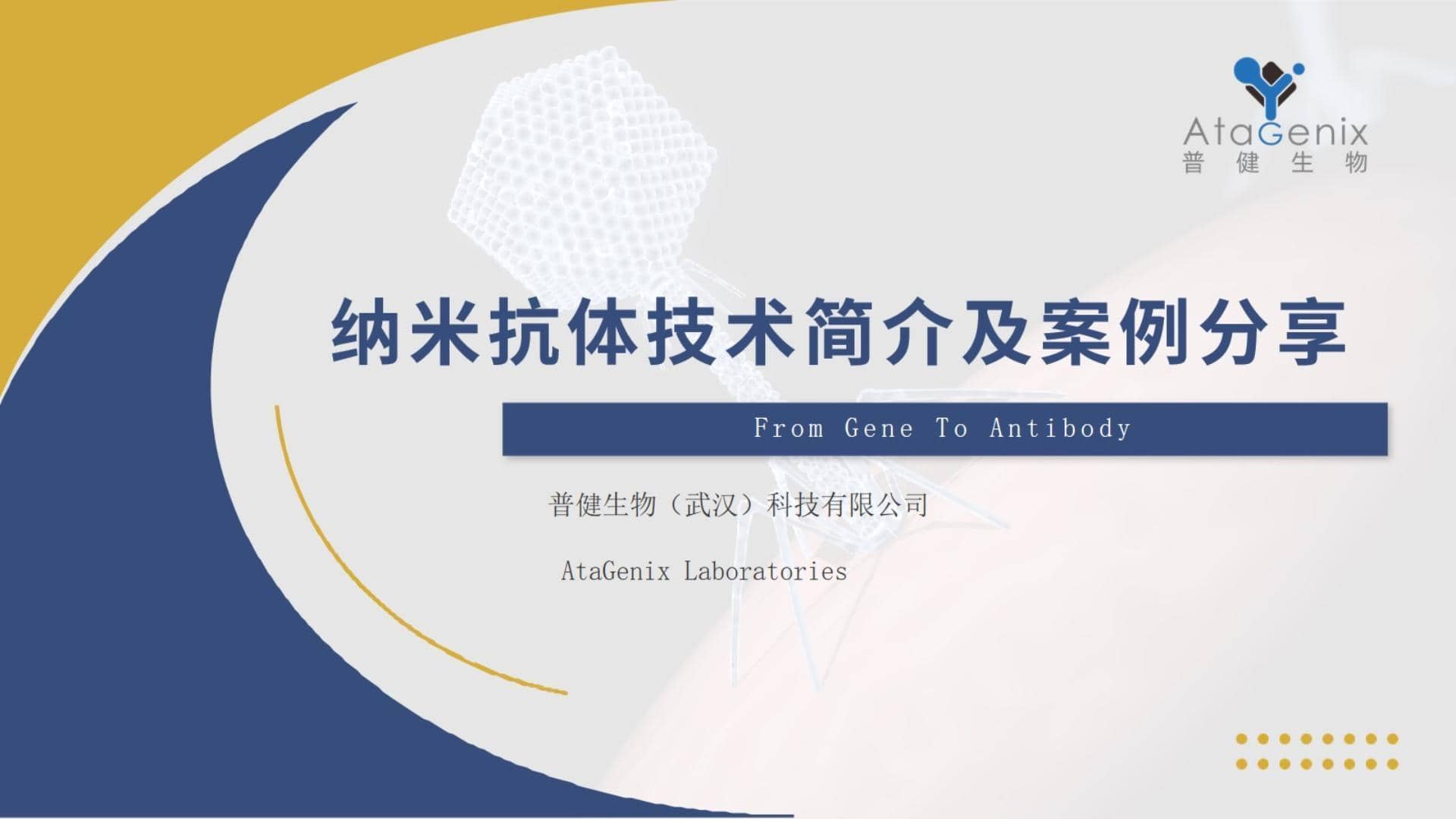 納米抗體制備&mdash;&mdash;納米抗體制備技術(shù)及相關(guān)案例分享