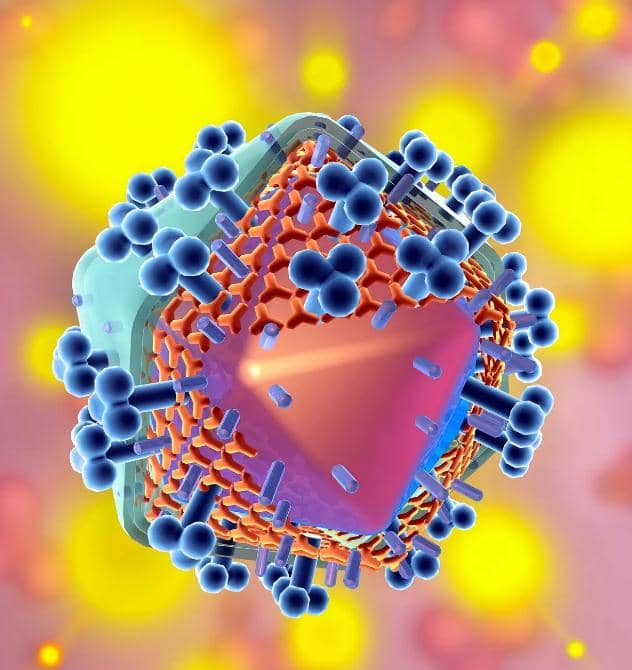 納米抗體的科研進展及臨床應用回顧