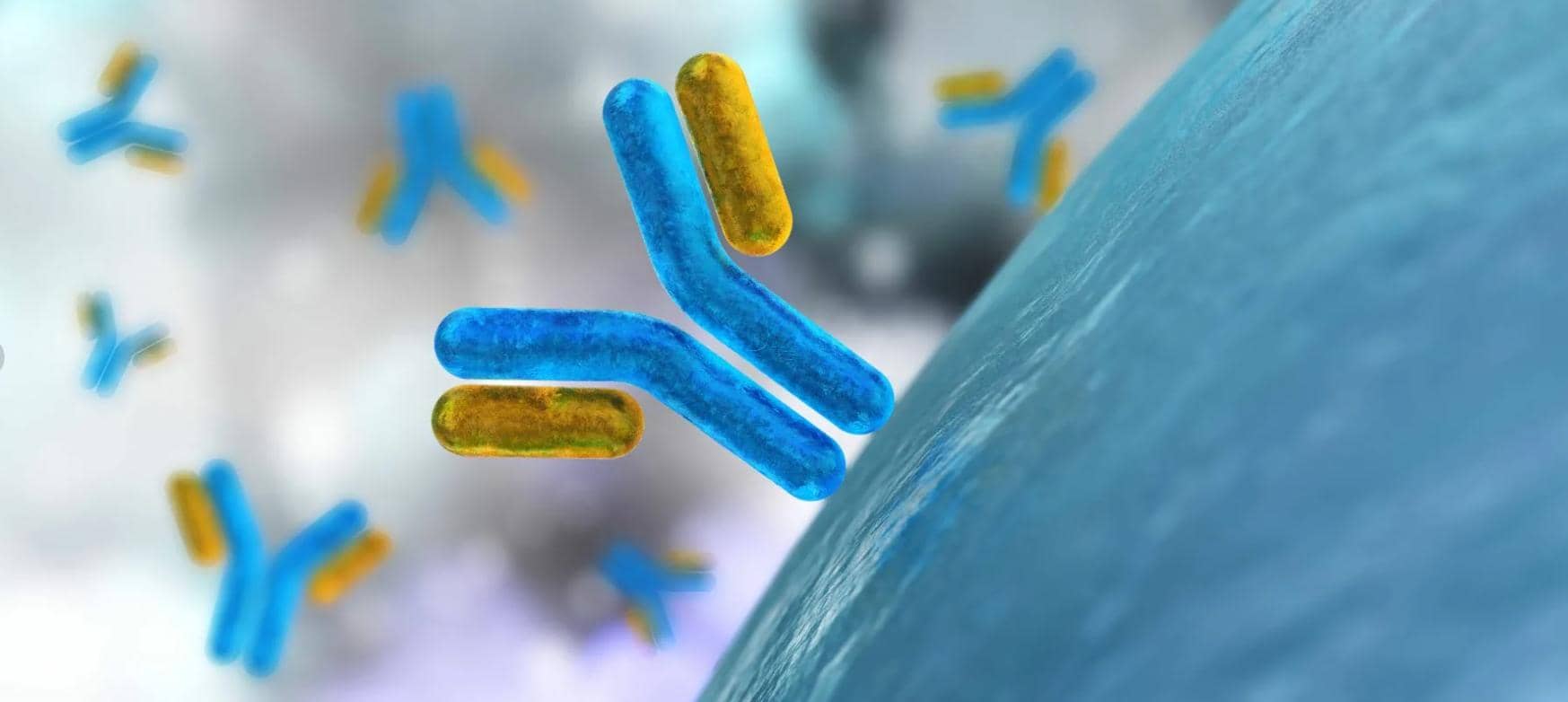 新一代&Prime;生物技術導彈&Prime;&mdash;&mdash;對腫瘤免疫策略有重大意義的納米抗體（上）