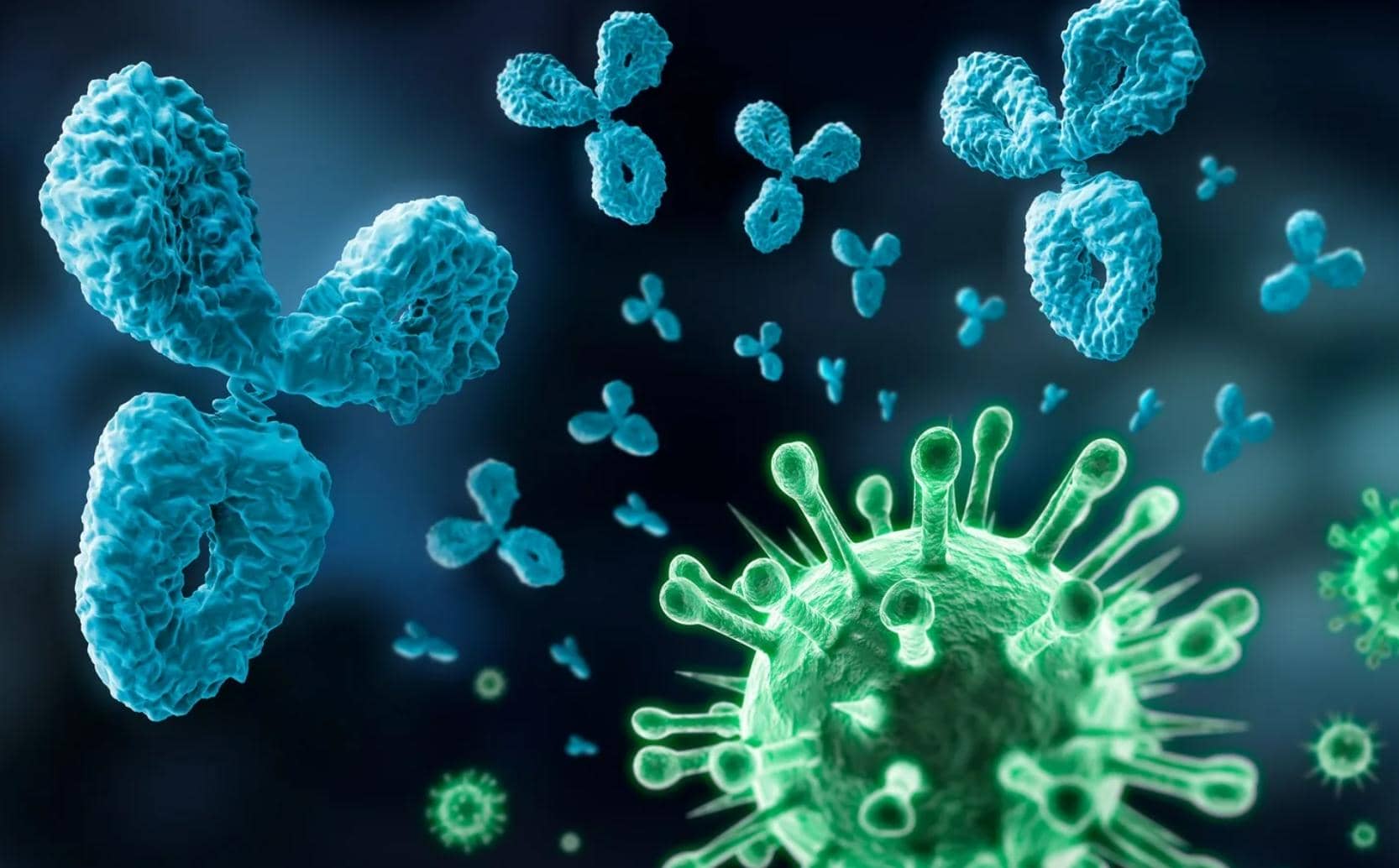 納米抗體在腫瘤、病毒感染、抗生素、解毒劑的臨床應用