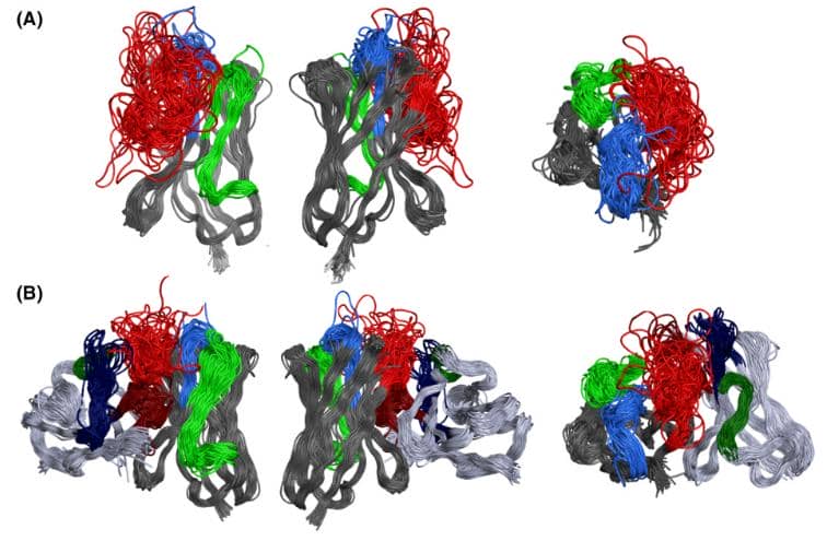 納米抗體如何實現(xiàn)如此高的特異性？