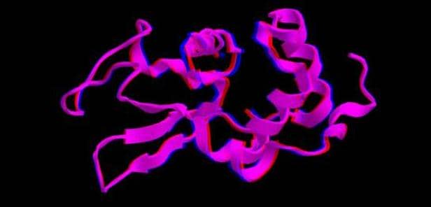 利用畢赤酵母表達系統進行BMP4重組蛋白表達與純化