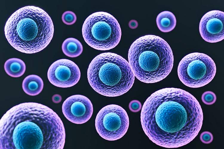 穩(wěn)定細胞株構(gòu)建過程中的一些常見問題盤點