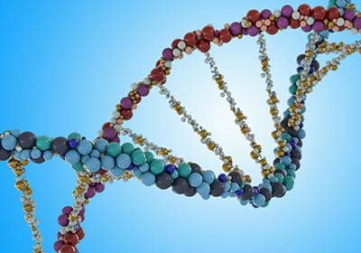 單B細胞技術常常會應用到那些場合?