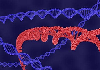 盤點在重組蛋白表達和純化過程中會遇到的問題