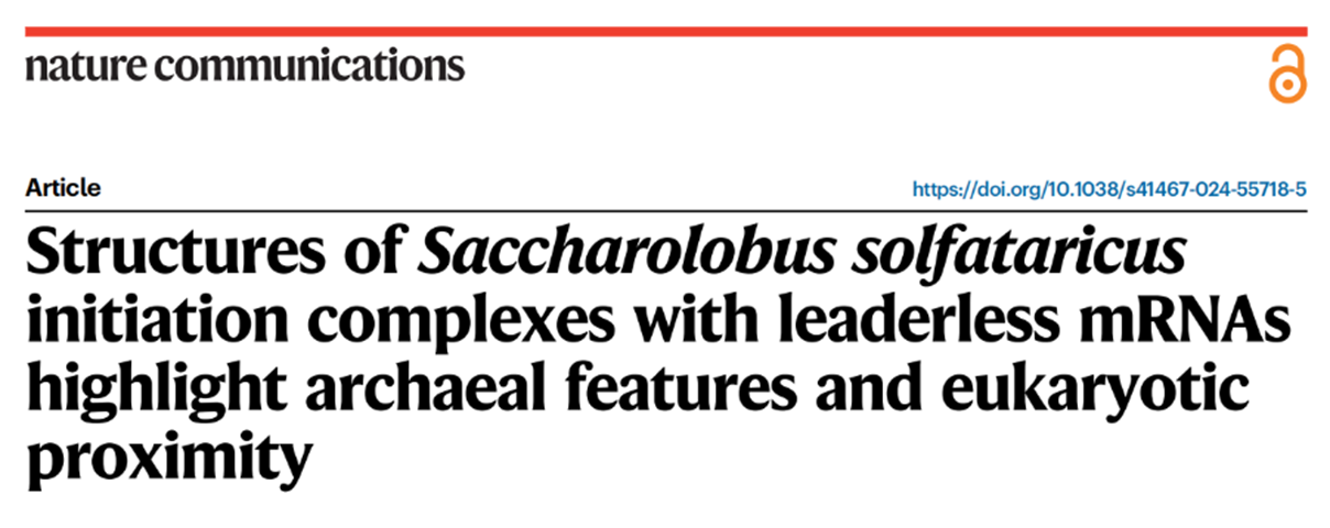 古菌翻譯復合物抗體